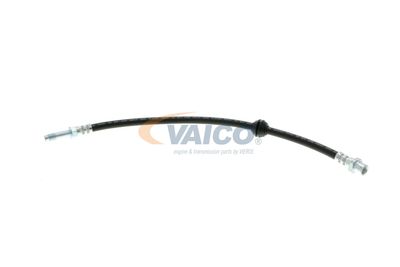 FURTUN FRANA VAICO V204107 4