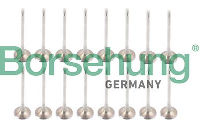 SET SUPAPE SUPAPă ADMISIE/EVACUARE Borsehung B13398