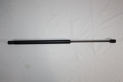 Dujinė spyruoklė, bagažinė