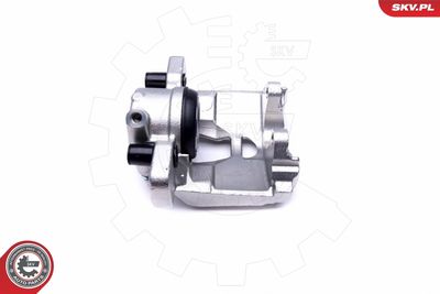 Brake Caliper 45SKV461