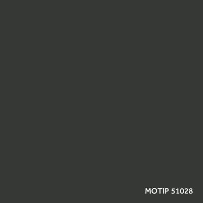 Vozidlo - kombinovaný lak MOTIP M51028