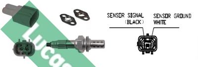 SONDA LAMBDA LUCAS LEB5162