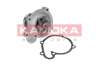 Water Pump, engine cooling T0218