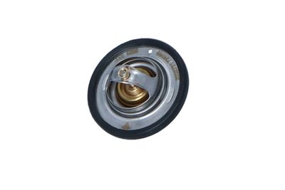 TERMOSTAT LICHID RACIRE NRF 725065 10