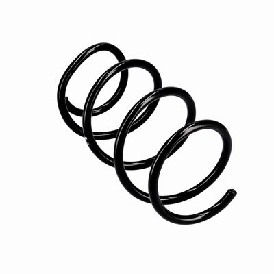 ARC SPIRAL EIBACH R10355 11