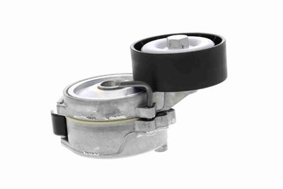 INTINZATOR CUREA CUREA DISTRIBUTIE VAICO V480404 5