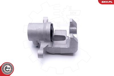 Brake Caliper 46SKV824