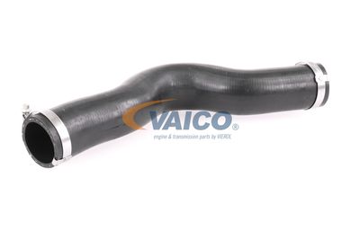 FURTUN EAR SUPRAALIMENTARE VAICO V401448 57