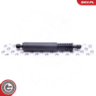 Dujinė spyruoklė, bagažinė