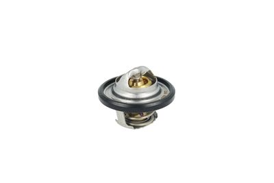 TERMOSTAT LICHID RACIRE NRF 725544 16