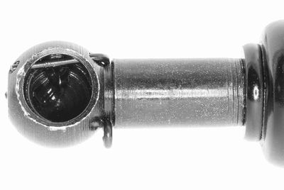 GASFEDER KOFFER-/LADERAUM VAICO V240217 1