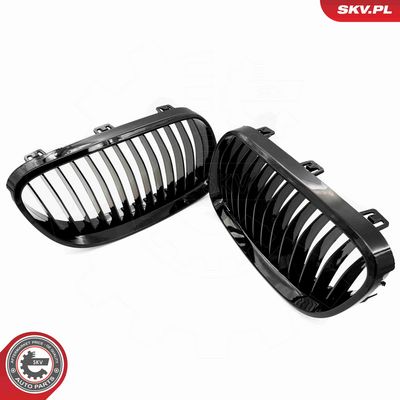 GRILA RADIATOR ESEN SKV 66SKV112 4