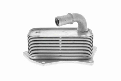 RADIATOR ULEI ULEI MOTOR VEMO V40602099 1