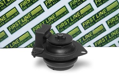 окачване, двигател FIRST LINE FEM3445