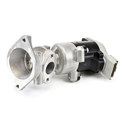 AGR-VENTIL DELPHI EG1064012B1 23