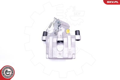 Brake Caliper 42SKV343