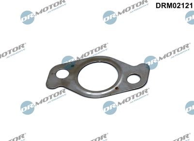 Uszczelnienie, zawór AGR DR.MOTOR AUTOMOTIVE DRM02121