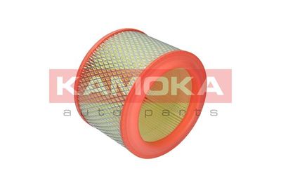 Air Filter F206301