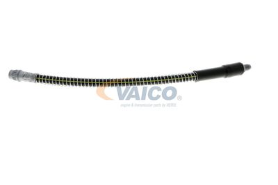 FURTUN FRANA VAICO V464113 34