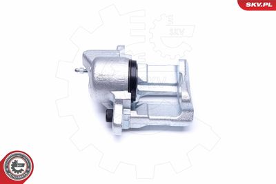 Brake Caliper 45SKV292