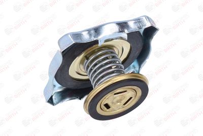 BUSON RADIATOR BIRTH 8088 5