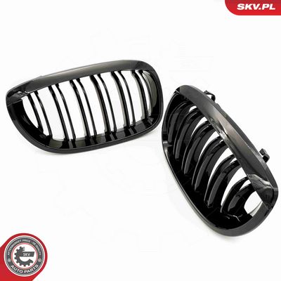 GRILA RADIATOR ESEN SKV 66SKV073 3