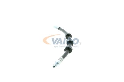 FURTUN FRANA VAICO V959580 14