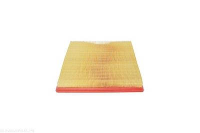 FILTRU AER AUTOMEGA 250050310 2