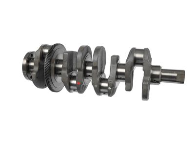 ARBORE COTIT ET ENGINETEAM HK0231 6