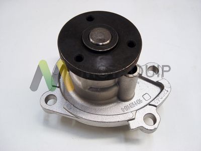 POMPă DE APă RăCIRE MOTOR MOTAQUIP LVWP1000 1