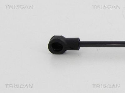 AMORTIZOR GAZ PAVILION KAWE 871038242 1