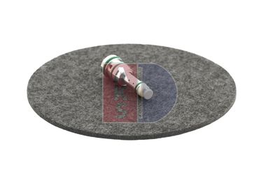 REGELVENTIL KOMPRESSOR AKS DASIS 859020N 9