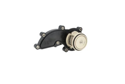 TERMOSTAT LICHID RACIRE NRF 725261 13