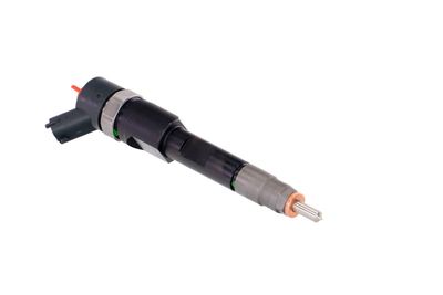 INJECTOR REMANTE 002003001168R 48