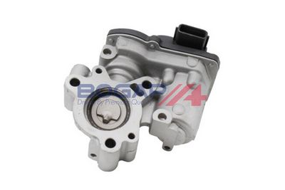 SUPAPA RECIRCULARE GAZE DE ESAPAMENT