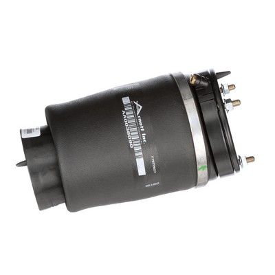 LUFTFEDER FAHRWERK Arnott A2934 63