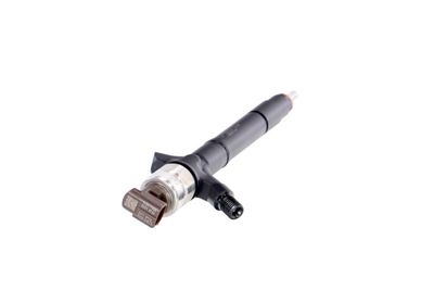 INJECTOR REMANTE 002003002041R 30