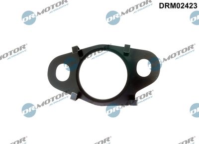 Pierścień uszczelniający, przewód zaworu AGR DR.MOTOR AUTOMOTIVE DRM02423