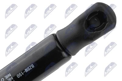 PERNA AER PODEA DE INCARCARE (PORTBAGAJ) NTY AEBM150 2