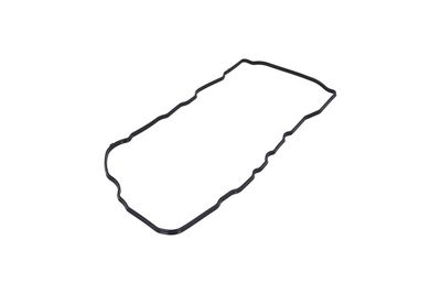 GARNITURA CAPAC SUPAPE