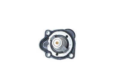 TERMOSTAT LICHID RACIRE NRF 725202 38