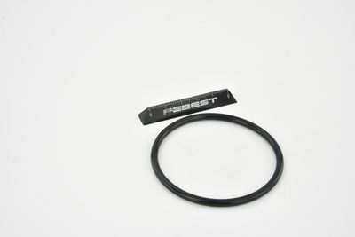 ETANșARE CARCASă CLAPETă FEBEST RINGAH034 24