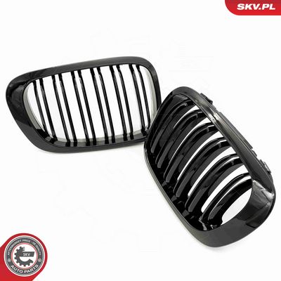 GRILA RADIATOR ESEN SKV 66SKV059 3