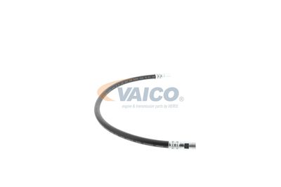 FURTUN FRANA VAICO V309926 47