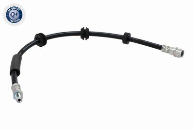 FURTUN FRANA VAICO V304748