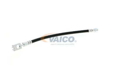 FURTUN FRANA VAICO V104127 55