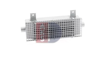 ÖLKüHLER MOTORöL AKS DASIS 486006N 8