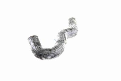 FURTUN RADIATOR VAICO V300227 4