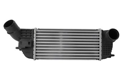 INTERCOOLER COMPRESOR HELLA 8ML366341711 1