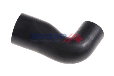 FURTUN EAR SUPRAALIMENTARE BOGAP A1711312 2